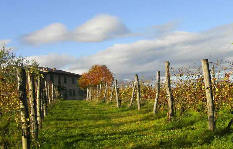 Wine is life: it is patience, hard work and pleasure.