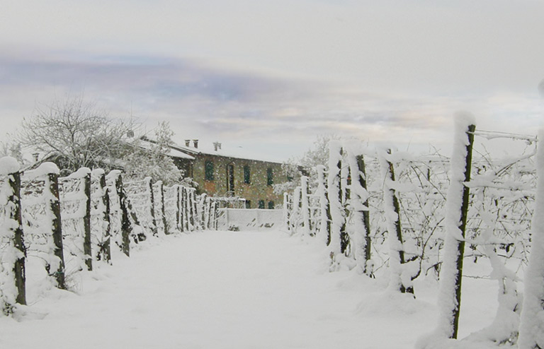 Wine is hard work, patience, pleasure and life