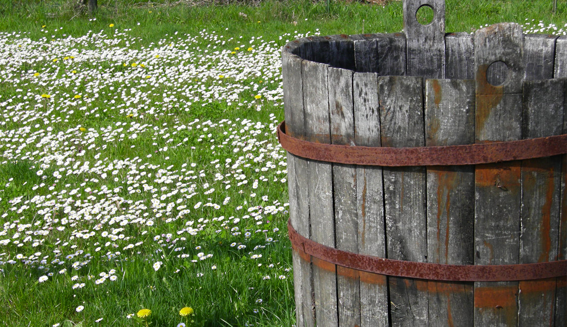 Azienda Agricola Baraccone - 4