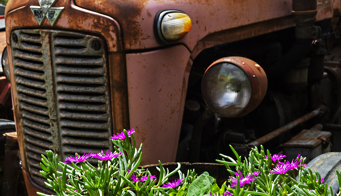 Azienda Agricola Baraccone - 2